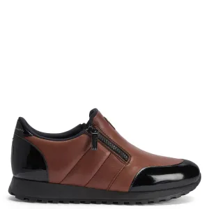 Giuseppe Zanotti Conley