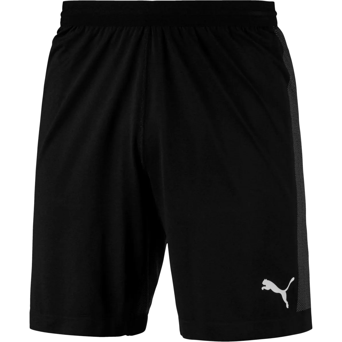 Men's Final EVOknit Shorts