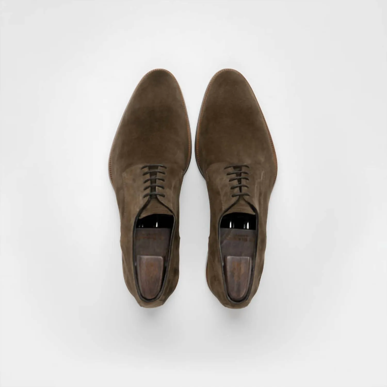 Men's Pisa Suede Derby Shoes In Dark Bark