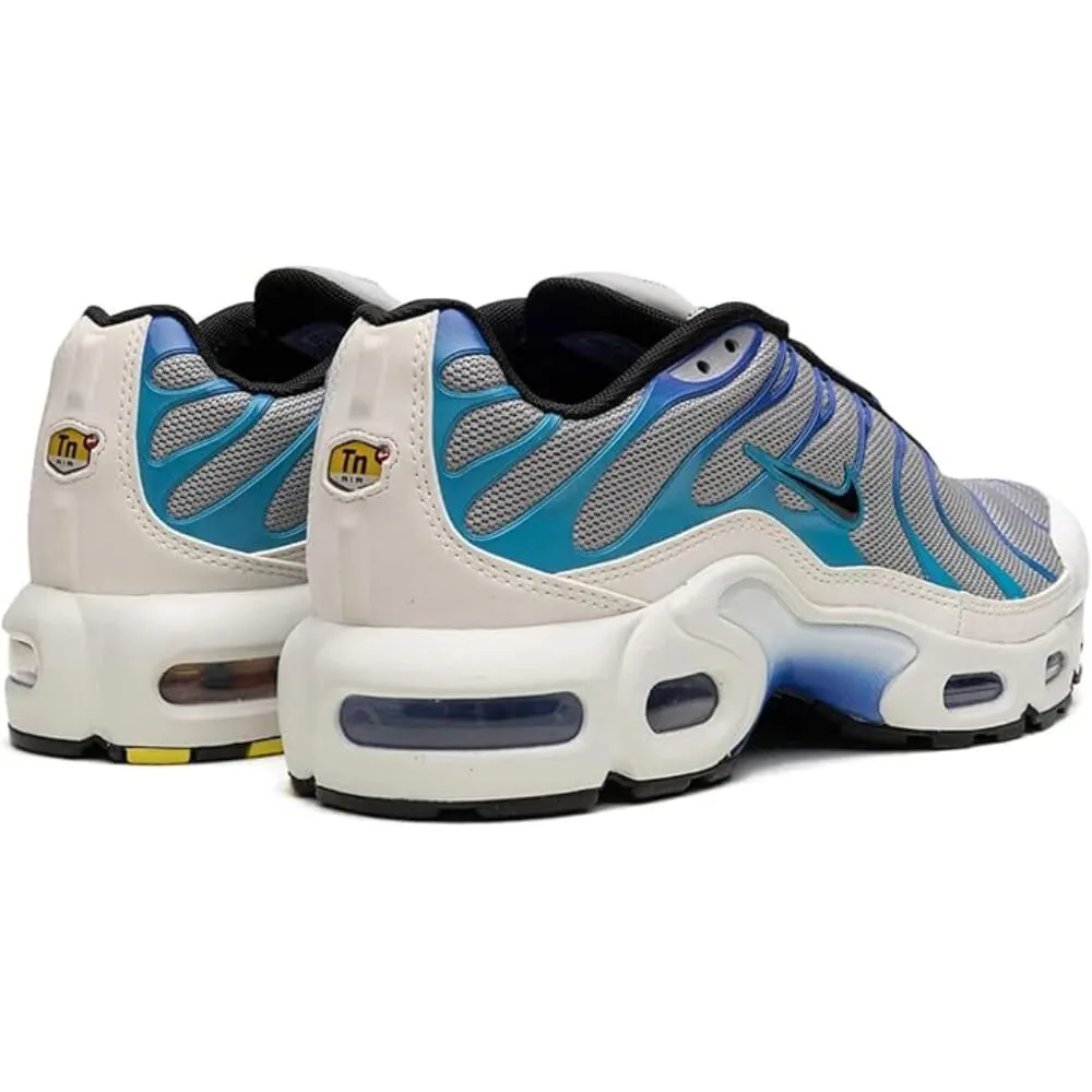 Nike Air Max Plus Light Smoke Grey/Black  CD0609-019 Grade-School
