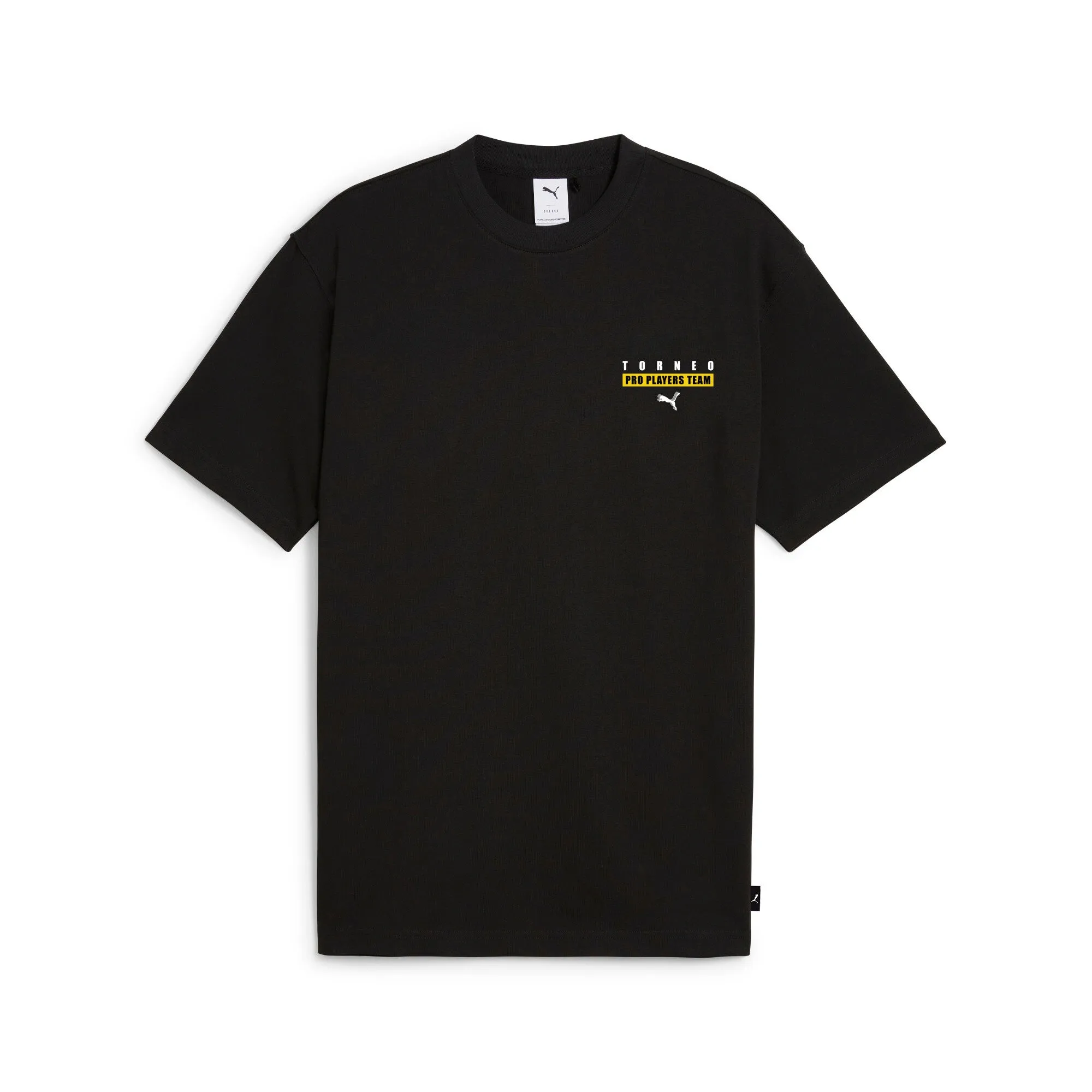 PUMA Men's GRAPHICS Toreno Tee