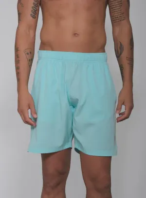 RS Sports  Men's Performance Shorts - 313 Ace Blue Clothing Rs Men