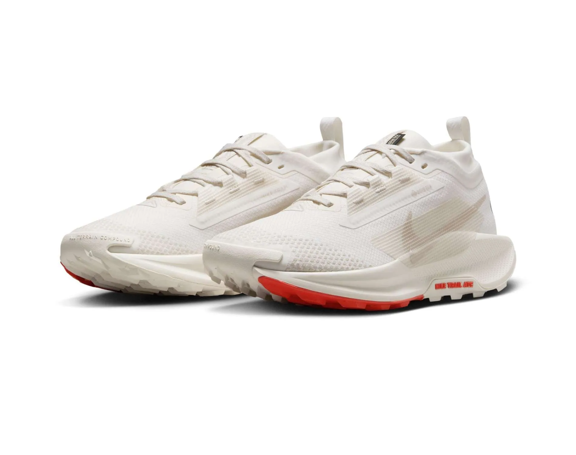 Shoes Nike Nike React Pegasus Trail 5 GTX Womens