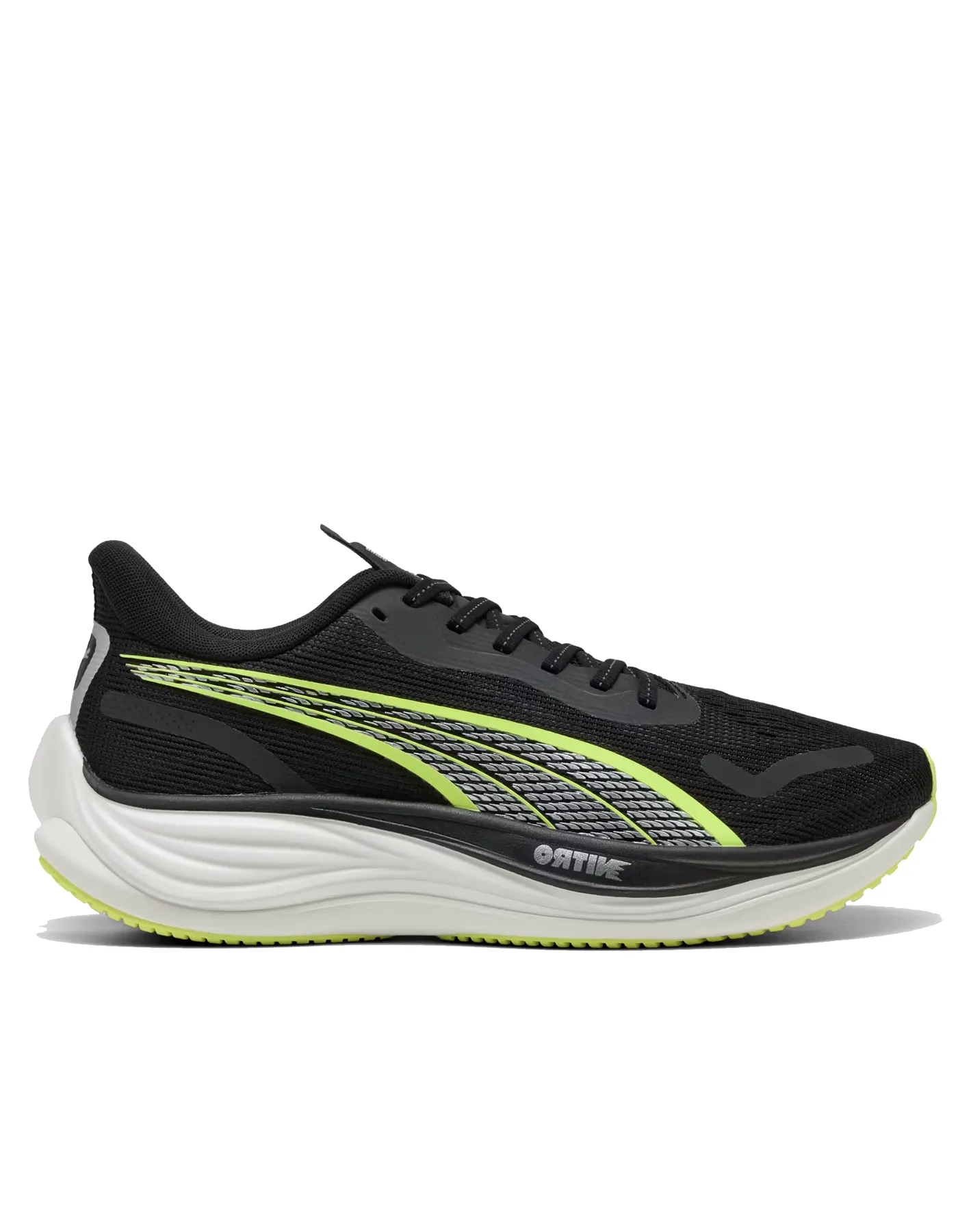Velocity NITRO 3 - Men's